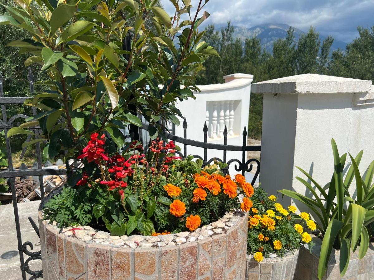 Netho Apartments Brda Mrcevac Екстериор снимка